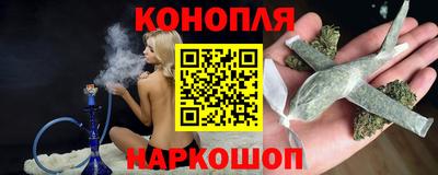 гидра Краснознаменск