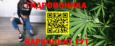гидра Краснознаменск